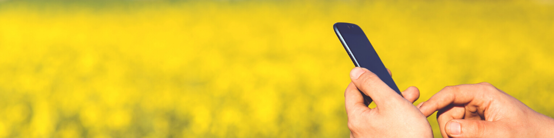 FARMING PRODUCT SOFTWARE PROTOTYPE: AGRICULTURE CASE STUDY